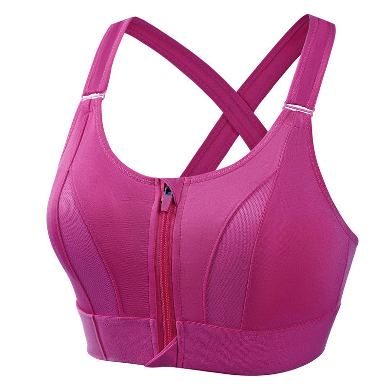 Lumina Sports Bra